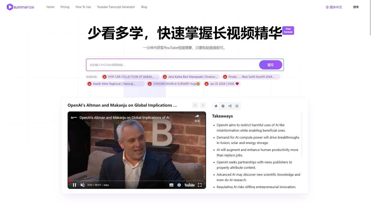 Summarize.ing 截图