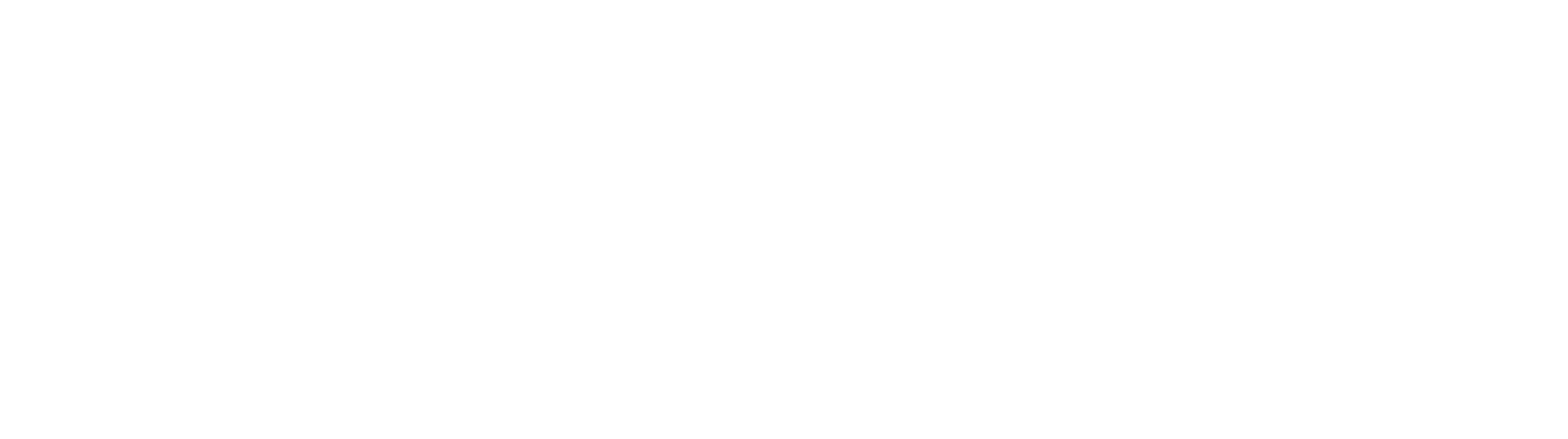 Vozo AI