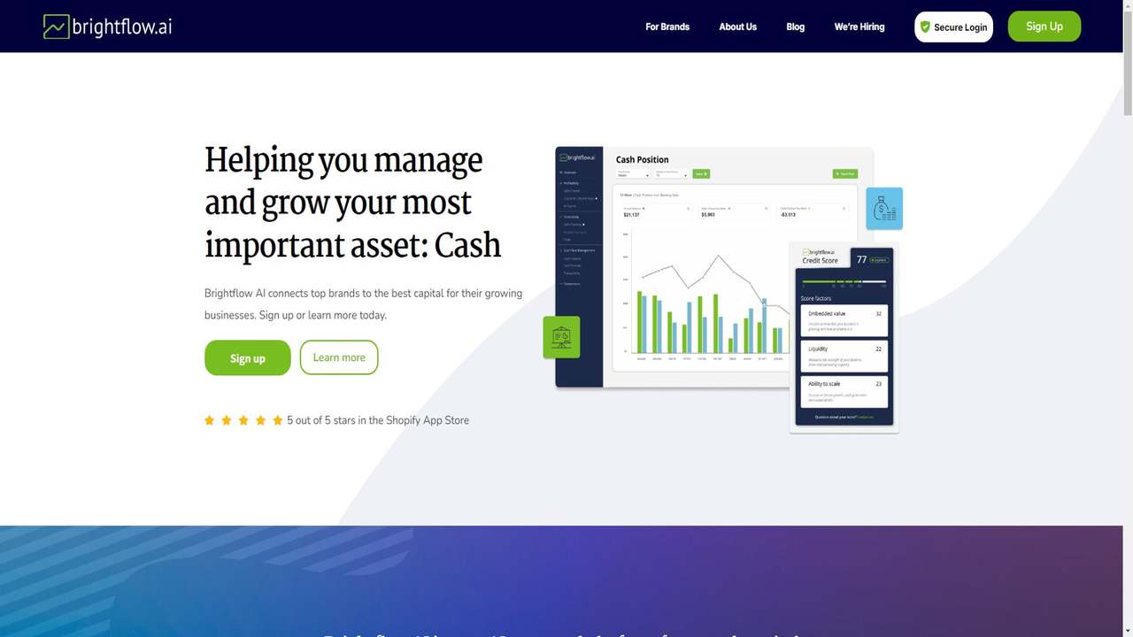 Brightflow AI 截图