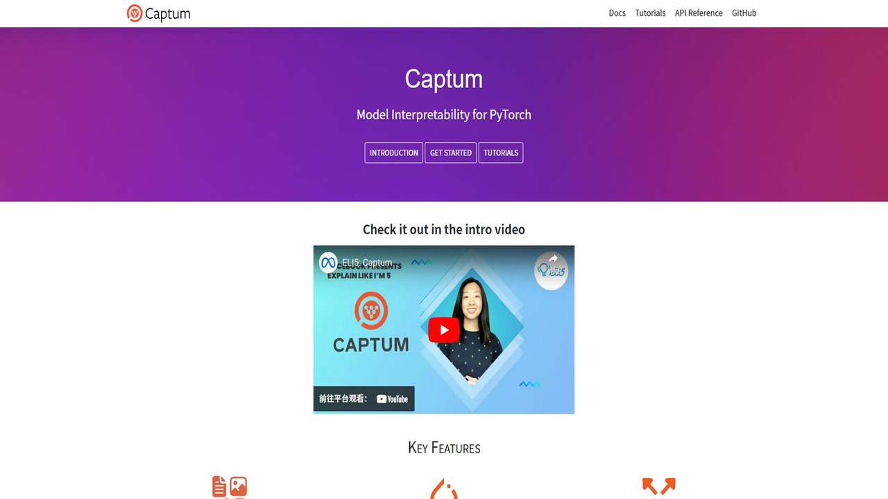 Captum 截图