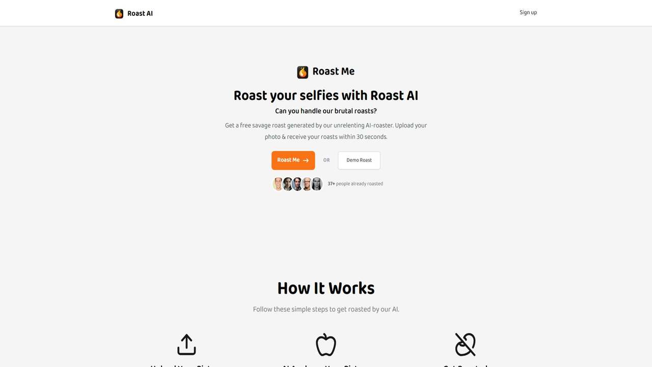 Roast AI 截图