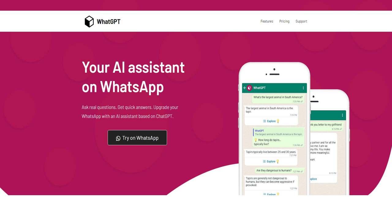 WhatGPT 截图