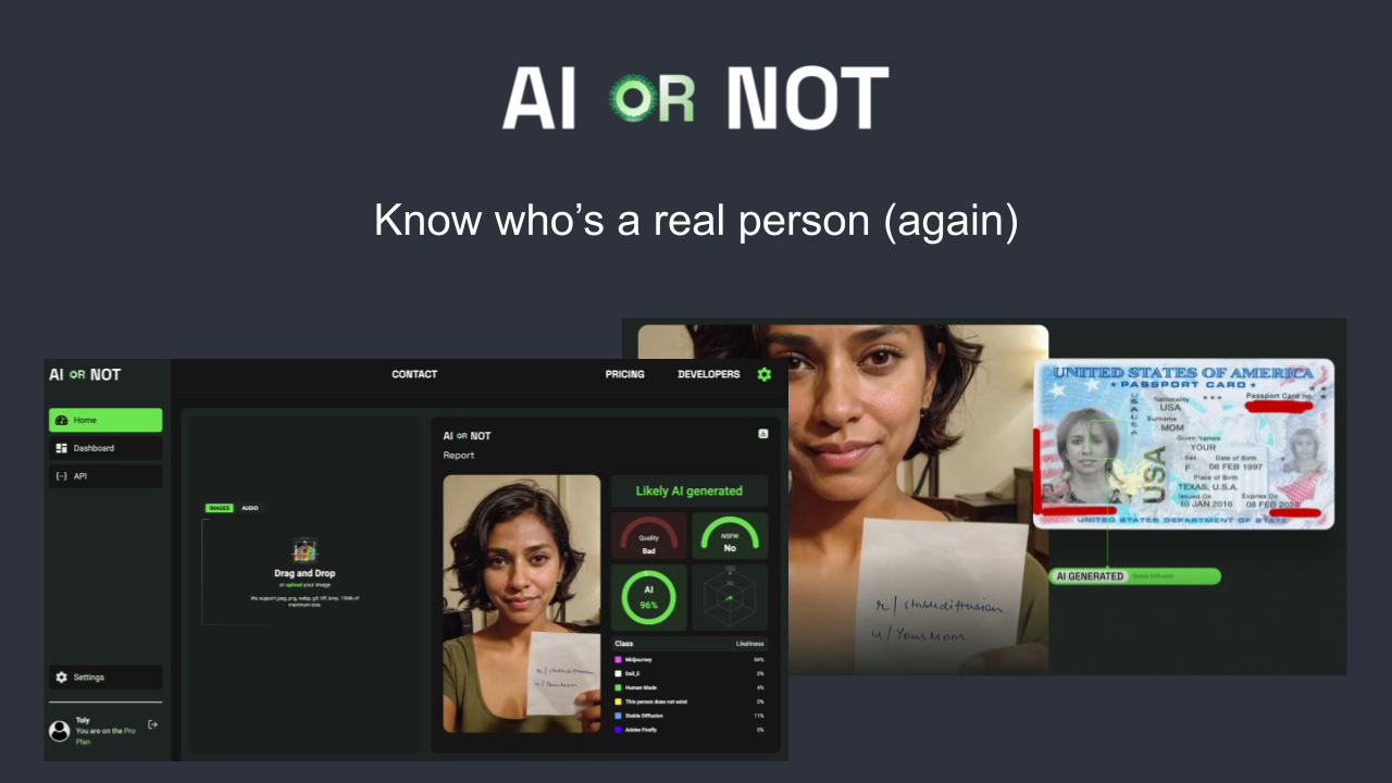 AI or Not 截图
