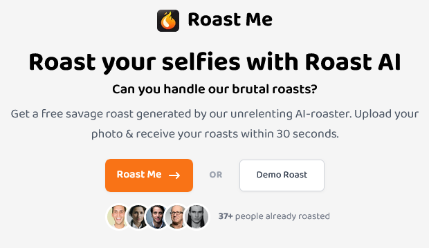 Roast AI 截图