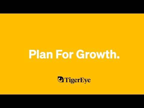 TigerEye 截图