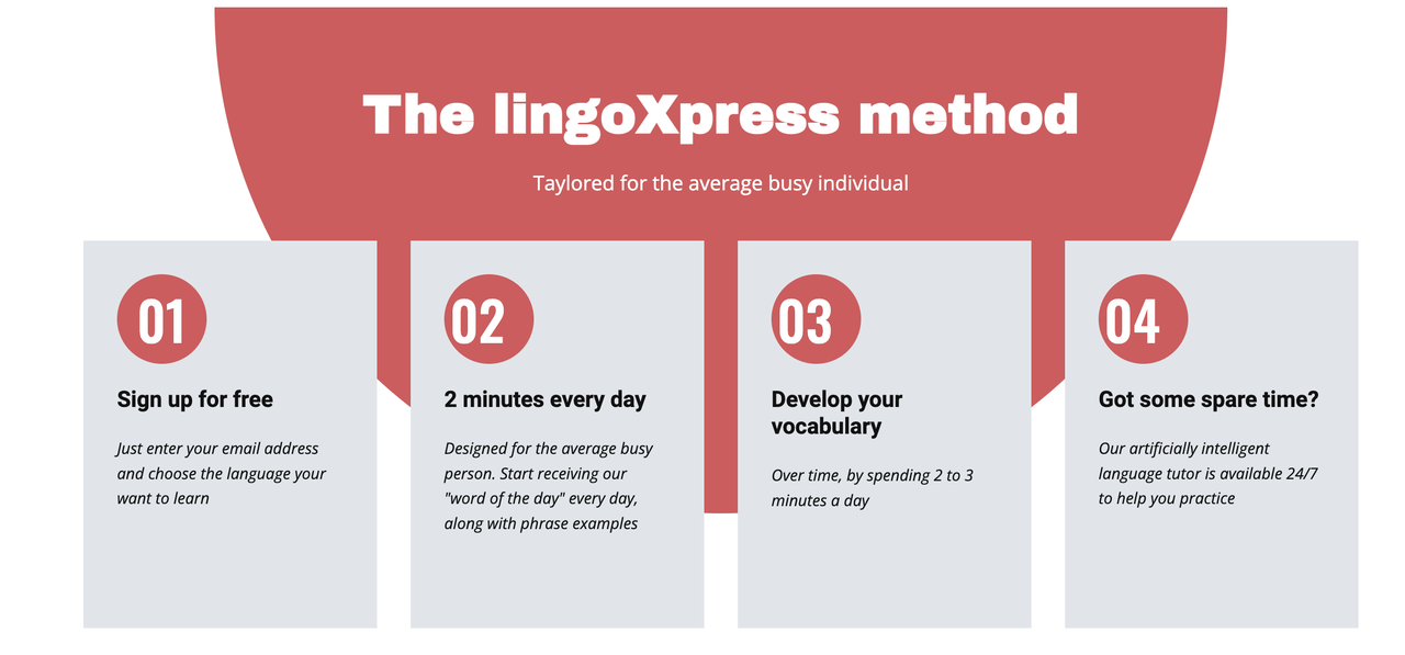 lingoXpress 截图