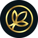 YouApp