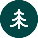 Pine