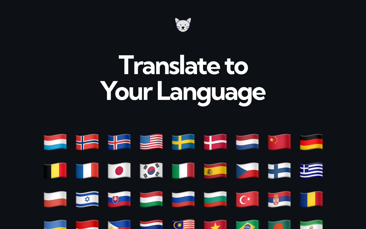 ExplainTXT 截图