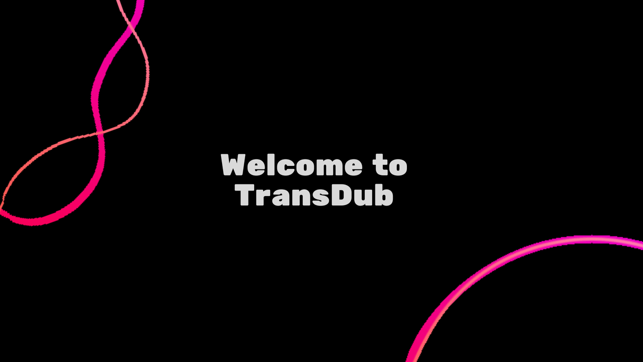 TransDub 截图