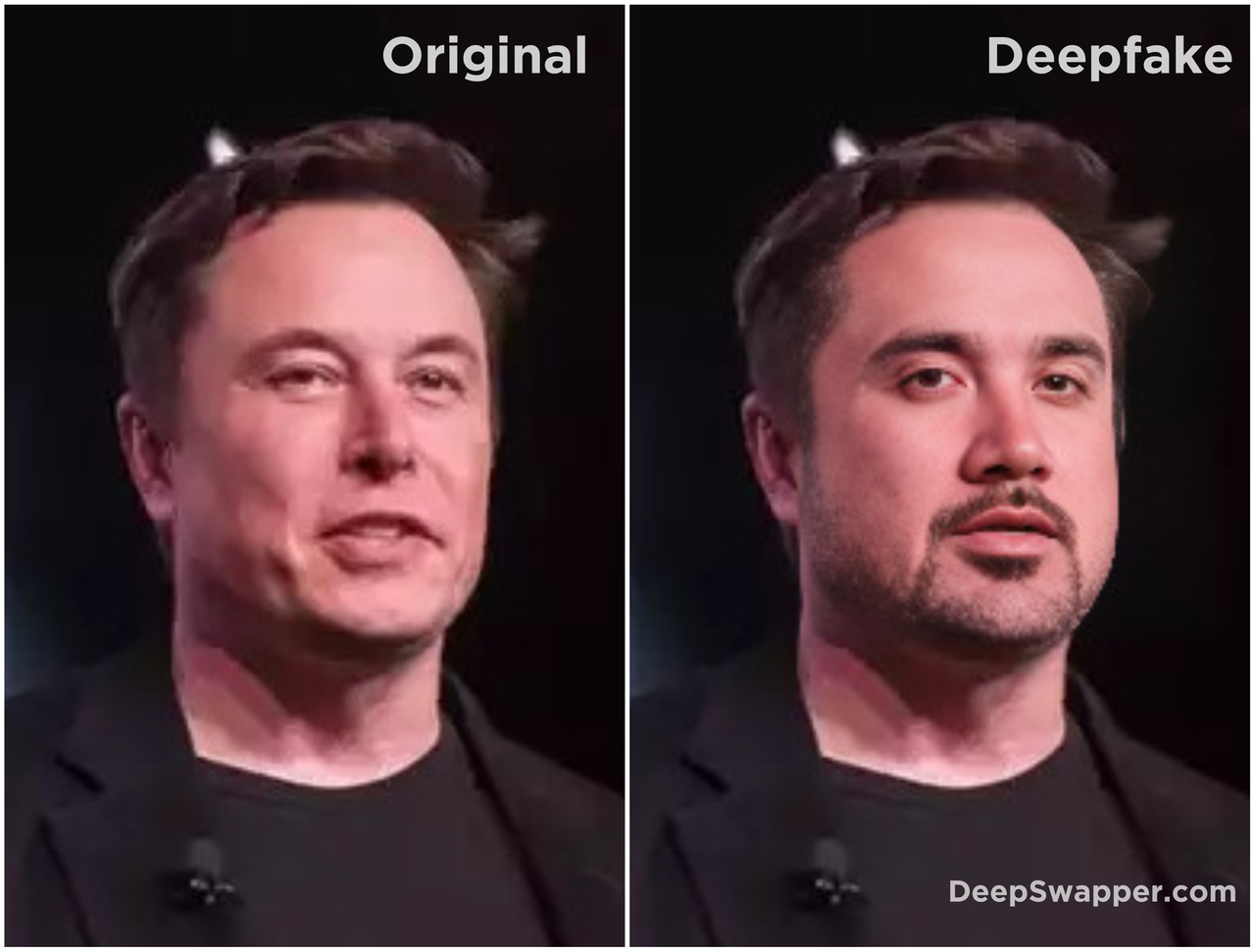 DeepSwapper 截图