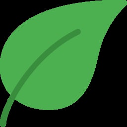 Anki Decks
