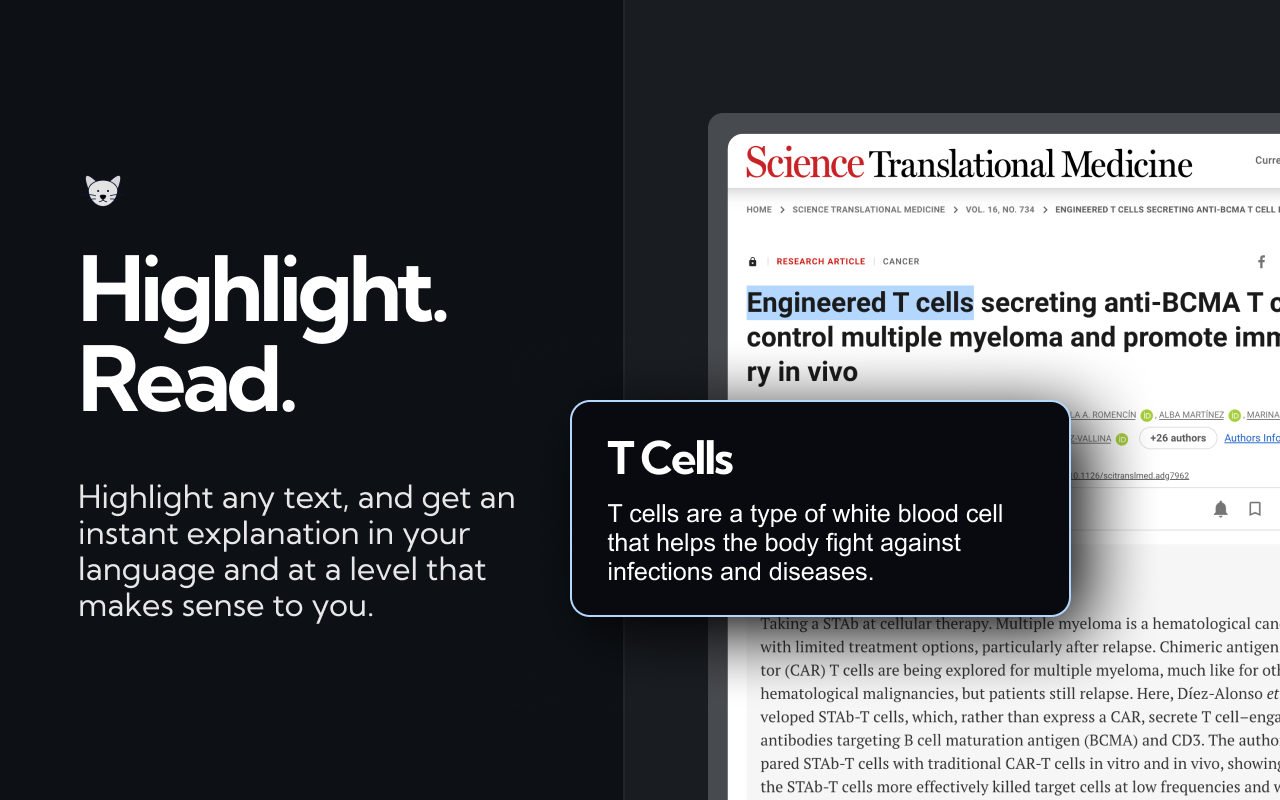 ExplainTXT 截图