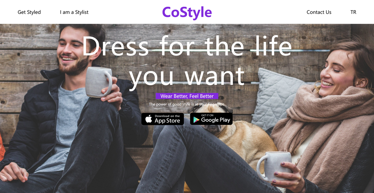 CoStyle 截图