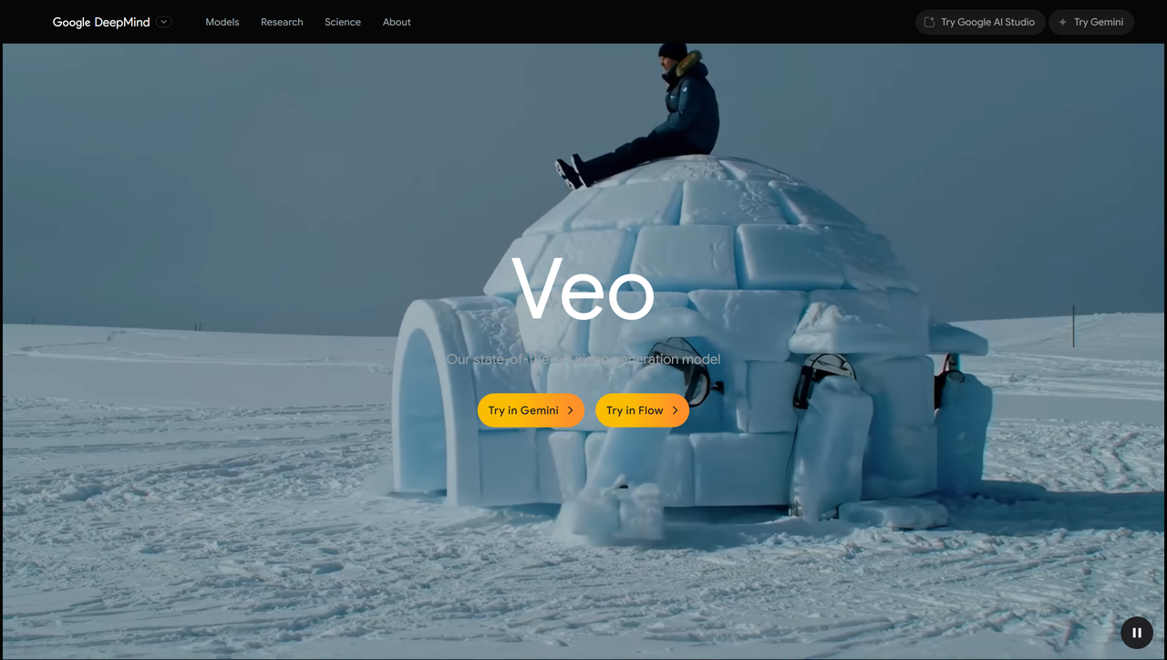 Veo 截图