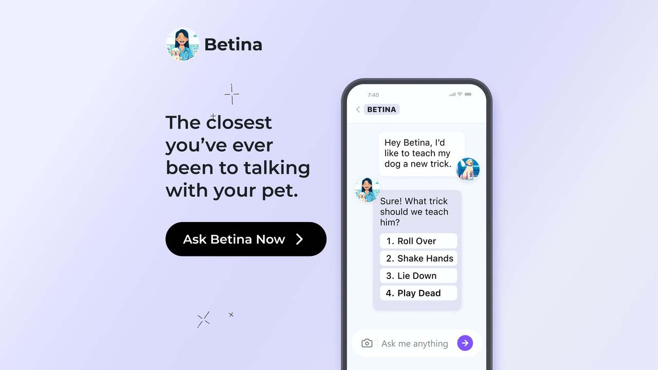 Betina 截图