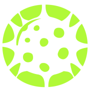 ParasiteSEO
