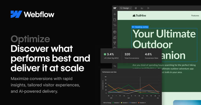 Webflow Optimize