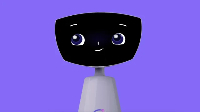Robin the Robot